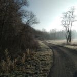 Auf dem Radweg