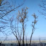 Blauer Himmel