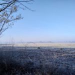 Noch mehr Feld