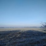 Feld