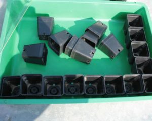 Plastiktöpfe 4 x 4 cm