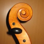 Schnecke