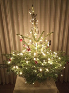 Weihnachtsbaum